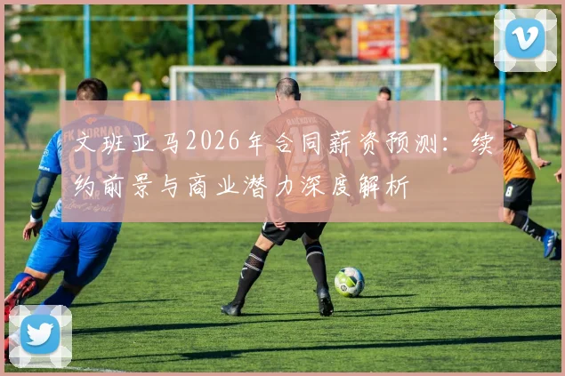 文班亚马2026年合同薪资预测：续约前景与商业潜力深度解析